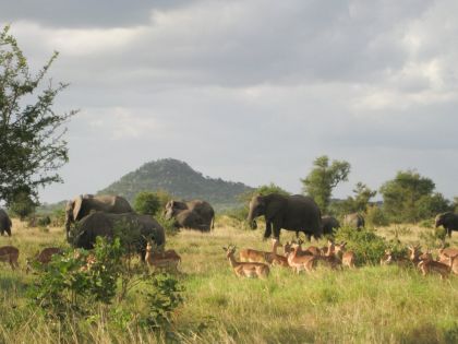 Екскурзия в ЮАР - Най-доброто от Южна Африка,  без виза за български граждани!