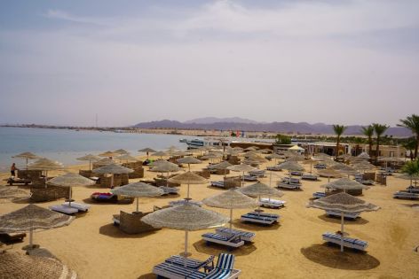 EAGLES PARADISE ABU SOMA