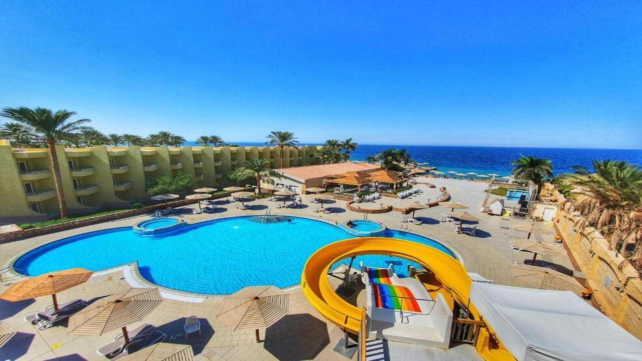 Palm Beach Resort Standard