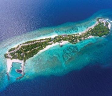 OBLU NATURE HELENGELI by SENTIDO